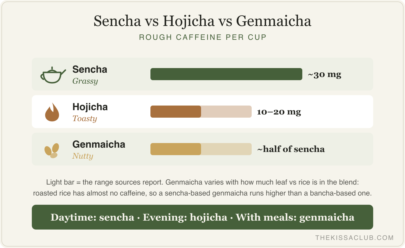 Caffeine and flavor comparison chart: sencha, hojicha, and genmaicha side by side with rough caffeine ranges and flavor notes